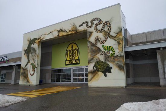 Reptilia Zoo and Education Centre Whitby